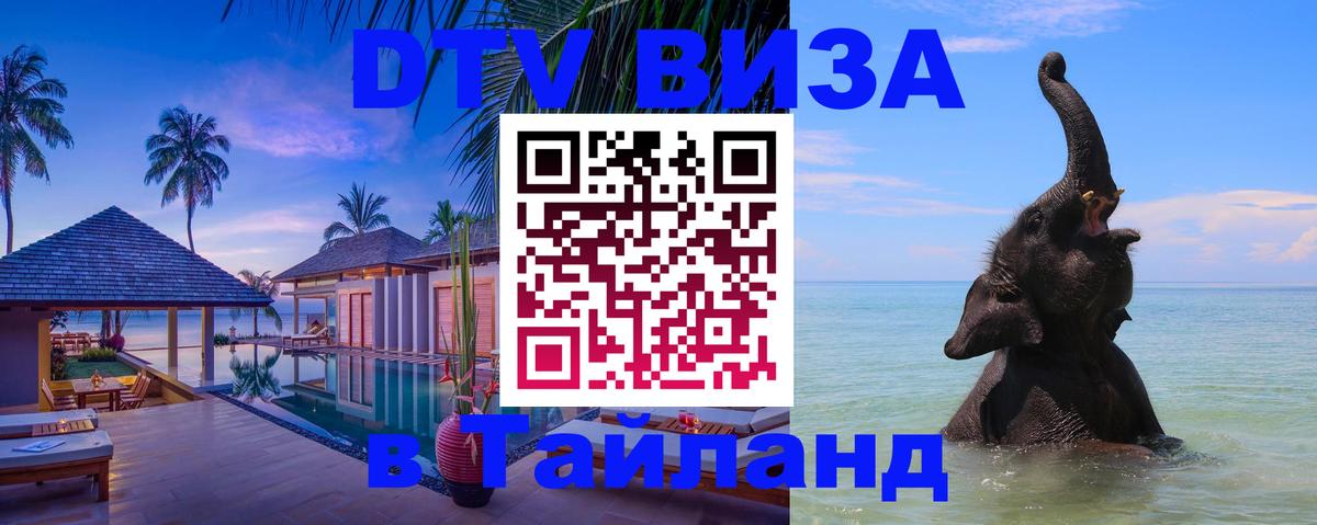 Оформление DTV визы под ключ: стоимость и тарифы, только загранпаспорт - 04.10.2025 